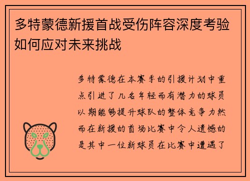 多特蒙德新援首战受伤阵容深度考验如何应对未来挑战